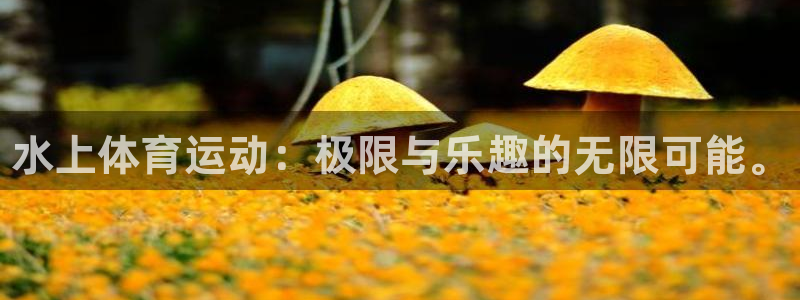 JJB竞技宝官方集团官网：水上体育运动：极限与乐趣的无限可能