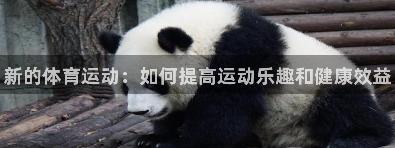 JJB竞技宝官方正版app娱乐下载：新的体育运动：如