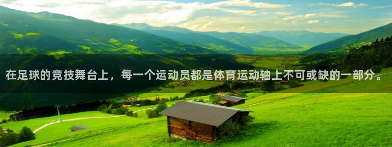 JJB竞技宝官方正版app科技：在足球的竞技舞台上，