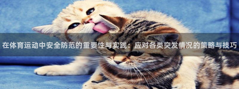 德国JJB竞技宝官方正版app集团：在体育运动中安全