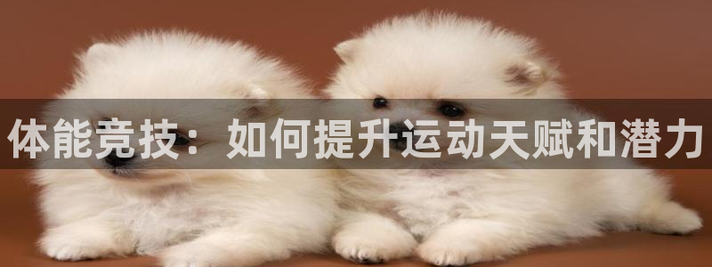 JJB竞技宝官网下载是干嘛的公司：体能竞技：如何提升