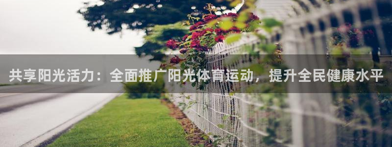 JJB竞技宝官网下载招商：共享阳光活力：全面推广阳光