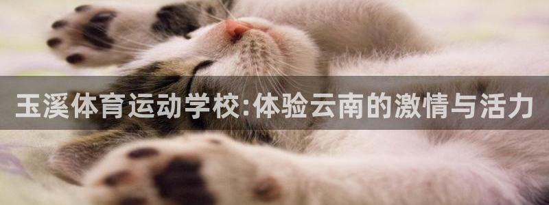 JJB竞技宝官网下载平台注册要钱吗是真的吗：玉溪体育运动学校