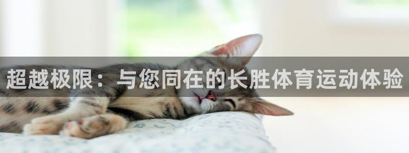 JJB竞技宝官方正版app五金厂：超越极限：与您同在的长胜体