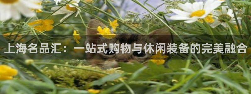 JJB竞技宝官方正版app代理：上海名品汇：一站式购物与休闲