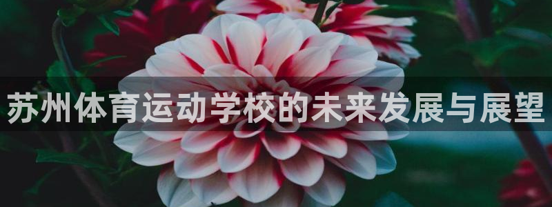 JJB竞技宝官方正版app官方：苏州体育运动学校的未