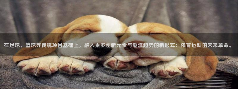 JJB竞技宝官方正版app娱乐下载：在足球、篮球等传
