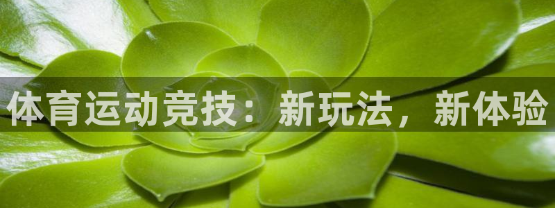 JJB竞技宝官方正版app集团E.ON：体育运动竞技