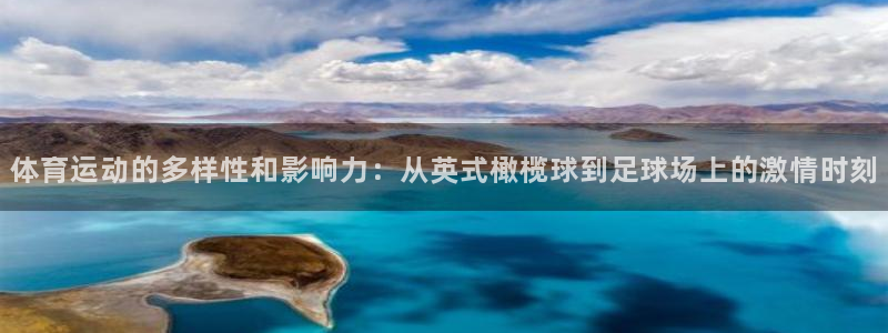 JJB竞技宝官方正版app娱乐平台：体育运动的多样性
