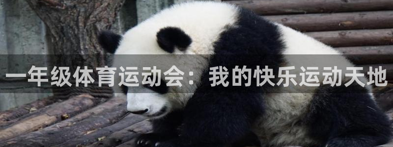 JJB竞技宝官方正版app集团E.ON：一年级体育运