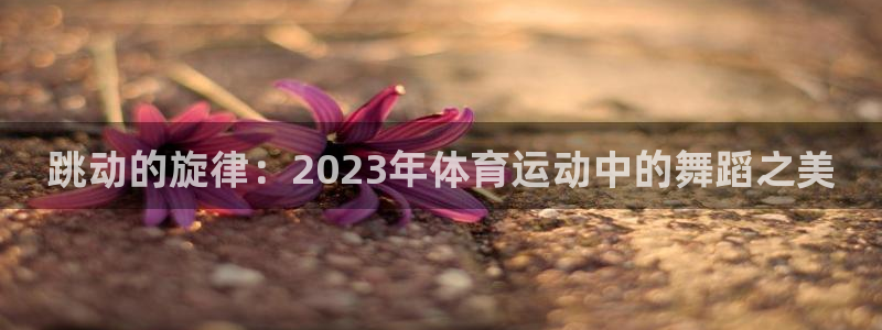 JJB竞技宝官网下载是干嘛的公司：跳动的旋律：2023年体育