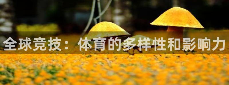 JJB竞技宝官网下载招商电话：全球竞技：体育的多样性和影响力