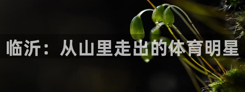 海南JJB竞技宝官网下载发展怎么样：临沂：从山里走出的体育明