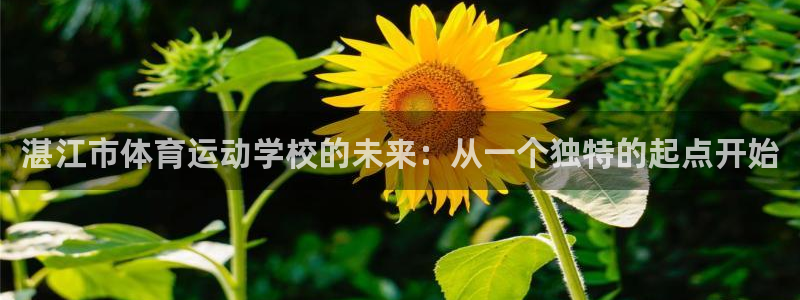 JJB竞技宝官网下载招商电话是多少：湛江市体育运动学校的未来